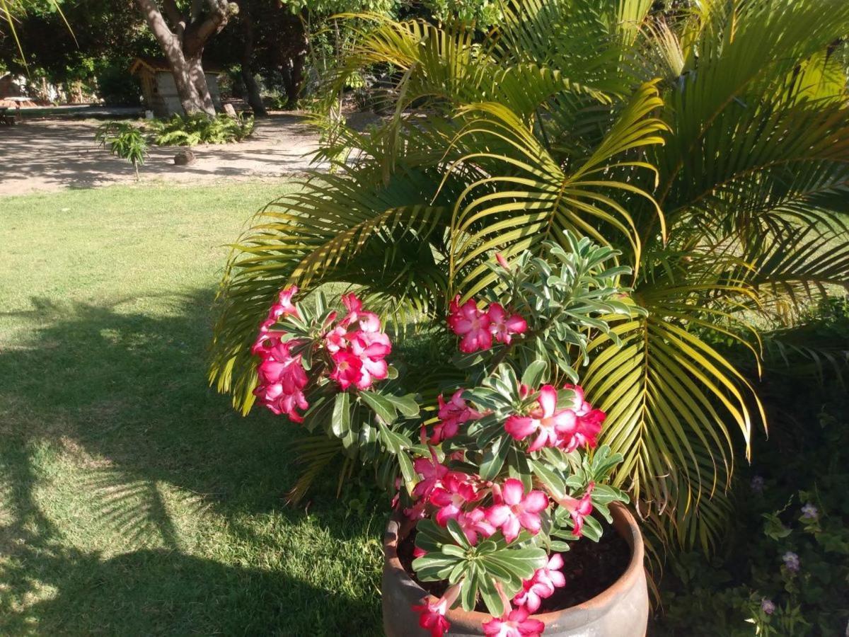 Sitio Das Amelias Villa Jijoca de Jericoacoara Bagian luar foto